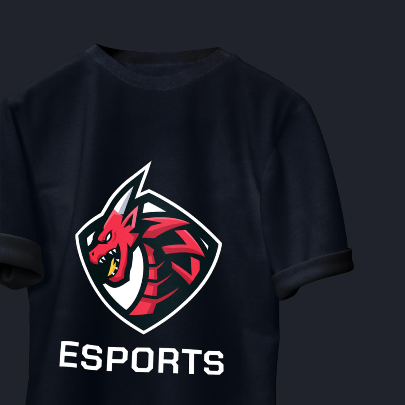 eCommerce Image - Esports Webflow Template