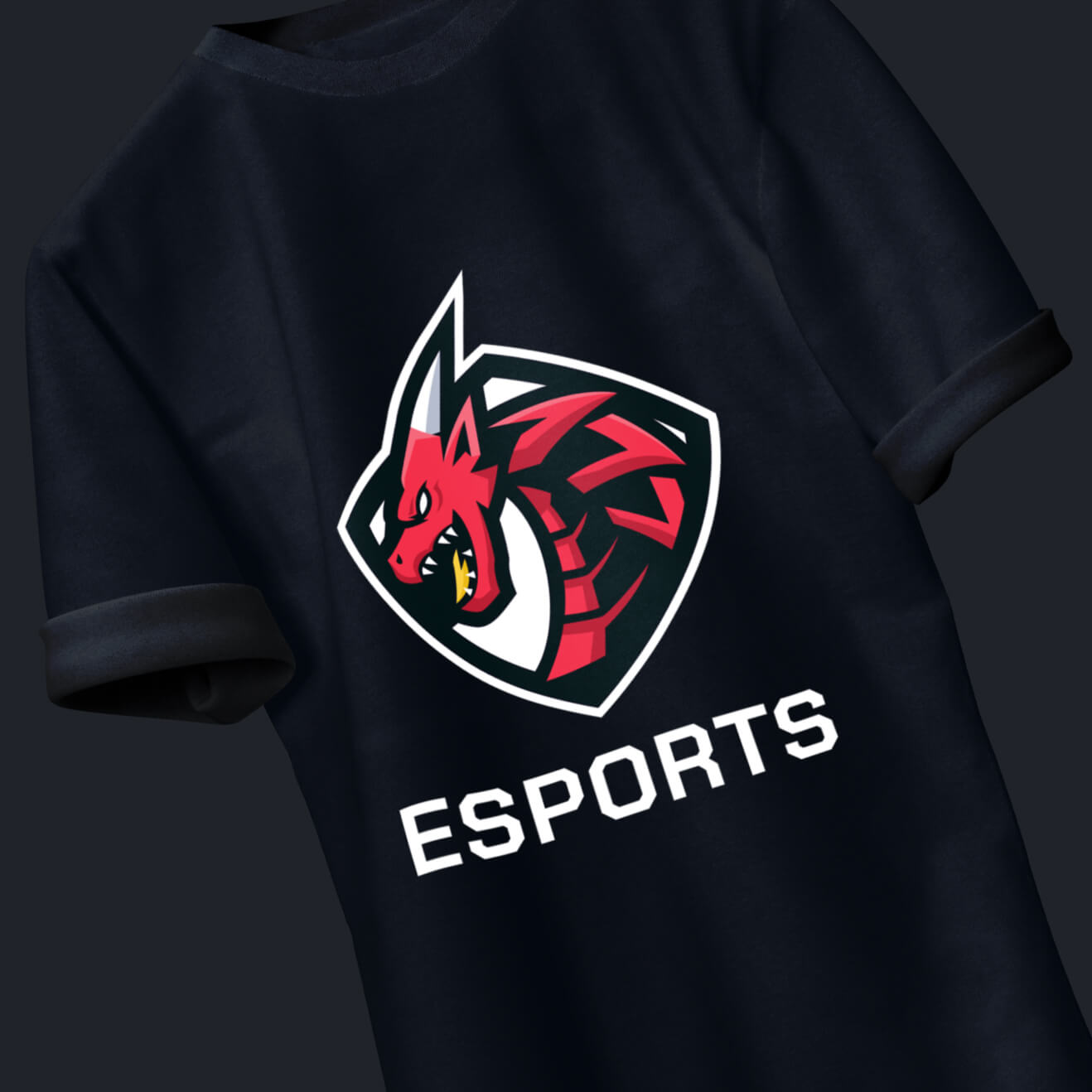 eCommerce Image - Esports Webflow Template