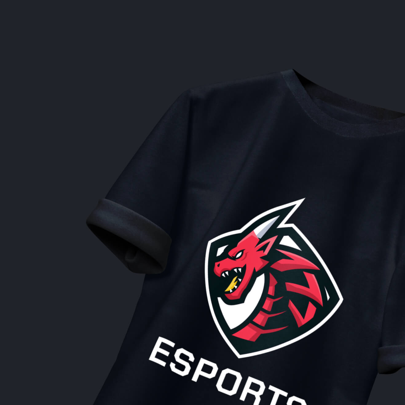 eCommerce Image - Esports Webflow Template